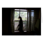 cat in window cards