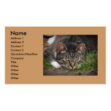 Cat Laying Down Business Card