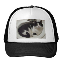 Cat lovers delight trucker hat
