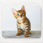 cat mousepads