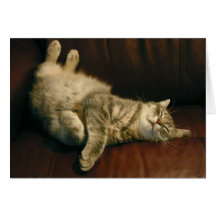 Cat nap - in the extreme greeting card
