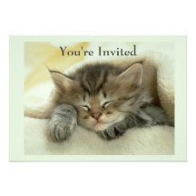 Cat Nap Invitation