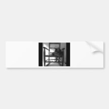 Cat on rocker bumper stickers