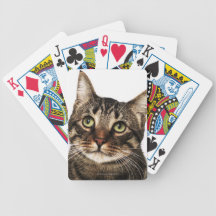 Cat on white background 2 bicycle card decks