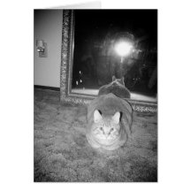 Cat Portrait Greeting Cards