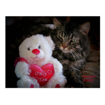cat post card