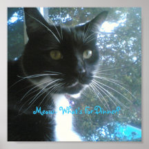 Cat poster - Customised