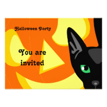 Cat Pumpkin Halloween Invitation