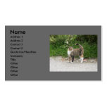 Cat  'Red' is angry Business Card Templates