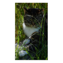 Cat Relaxing Business Card