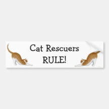 Cat Rescuers Rule Bumper Sticker