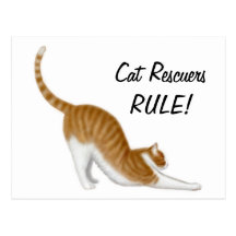 Cat Rescuers Rule Postcard