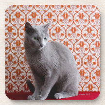 Cat (Russian blue) and wallpaper background Drink Coasters