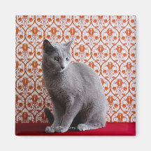 Cat (Russian blue) and wallpaper background Refrigerator Magnet