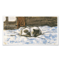 Cat Sleeping on a Bed by Claude Monet Art Photo