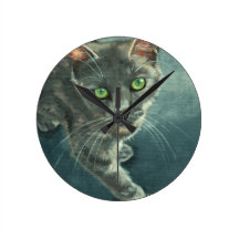 Cat staring clock