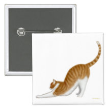 Cat Stretching Pin