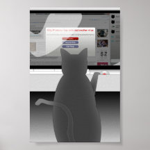 cat-surfing-2011 posters
