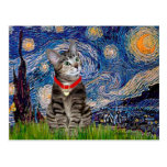 CAT (Tabby2) - Starry Night Post Card