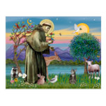 Cat (Tabby 2) - Saint Francis Post Cards