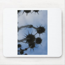 Cat tails. mousepads