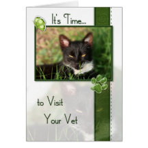 Cat Veterinary Appointment Reminder Greeting Cards