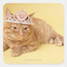 Cat wearing tiara stickers
