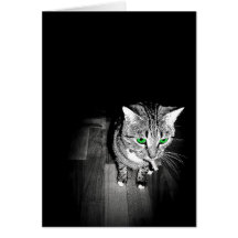 Cat With Green Eyes Greeting Cards