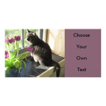 Cat with purple tulips customized photo card