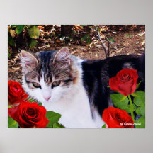 CAT WITH RED ROSES PRINT