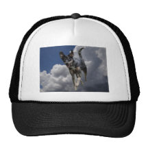 Catahoula Dog Running in Fluffy White Clouds Mesh Hat