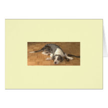 Catahoula Leopard Dog Card