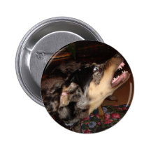 Catahoula Leopard Dog Showing Teeth Pinback Buttons