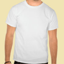 Catalina by Otis Shepard, c. 1935.  t-shirts