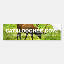 Cataloochee Cove - Great Smoky Mountains Bumper Stickers