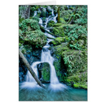 Cataract Creek Waterfall Greeting Cards