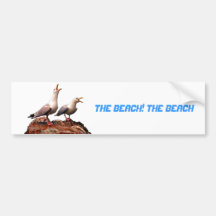 Catcalling Gulls Bumper Sticker