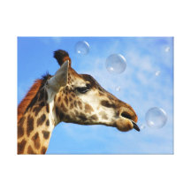 Catch a Bubble Canvas Print