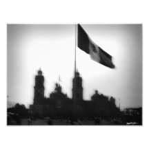 Catedral en el Zocalo del DF con la Bandera 10 Art Photo