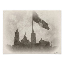 Catedral en el Zocalo del DF con la Bandera 6 Photo Art