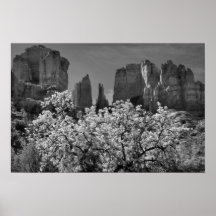 Cathedral Rock Posters