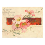 Catherine Klein Greeting Card Reproduction postcards