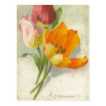 Catherine Klein Vintage Postcard Reproduction postcards