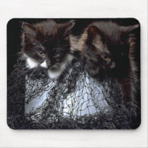 Cathouse Blues mousepads