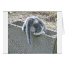 cats 020 greeting card