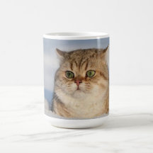 cats_and_snow7 mug