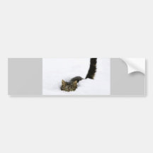 cats_and_snow_ (4) bumper stickers