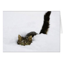 cats_and_snow_ (4) greeting card