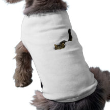 cats_and_snow_ (4) pet clothes