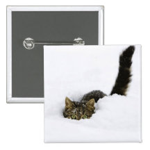 cats_and_snow_ (4) pinback buttons